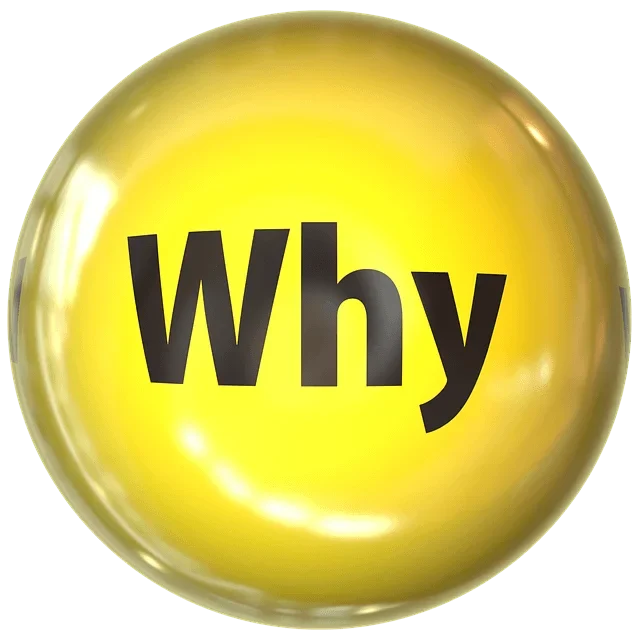 Gelbe runde Schaltfläche mit dem Wort "Why" in großen, schwarzen Buchstaben.